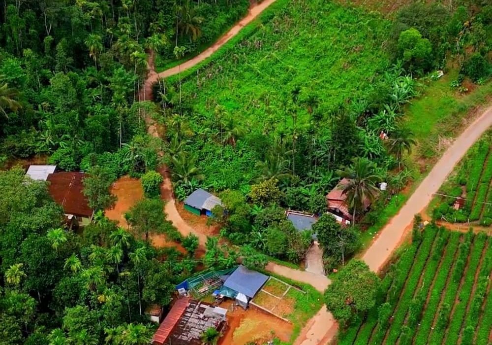 WhatsApp Image 2025-11-10 at 9.16.07 AM