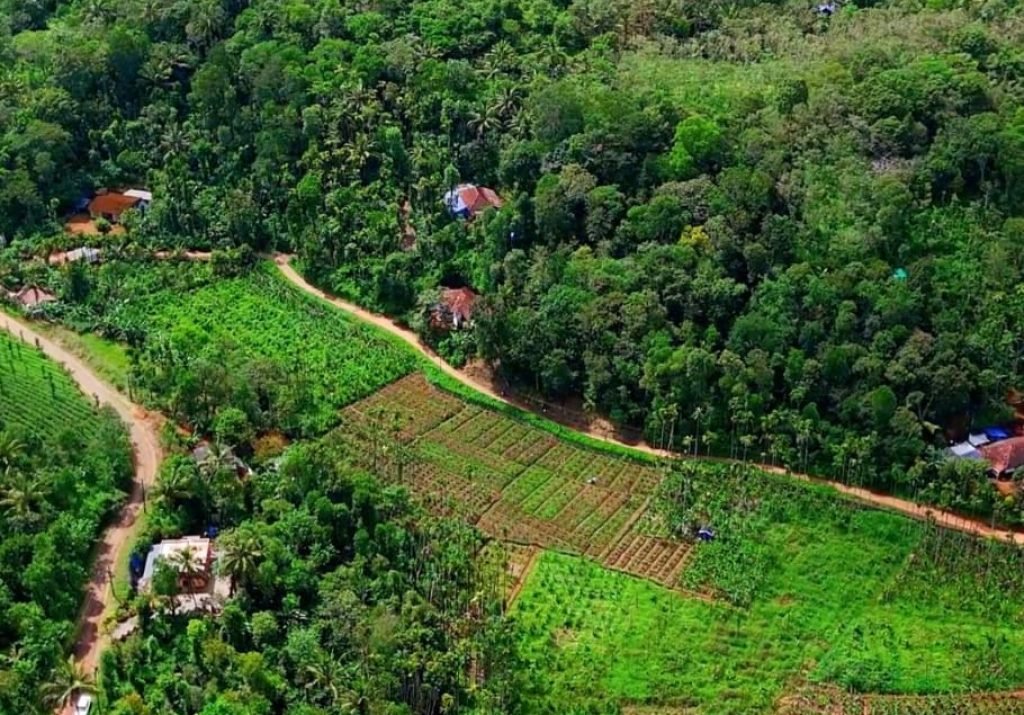 WhatsApp Image 2025-11-10 at 9.16.08 AM