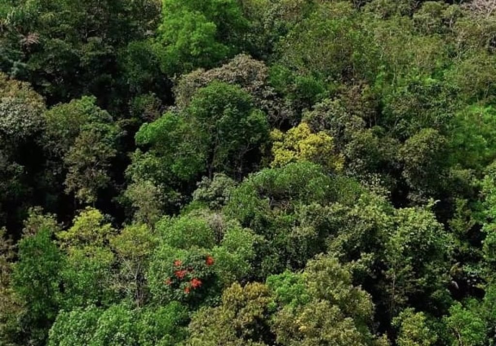 WhatsApp Image 2025-11-10 at 9.16.08 AM(1)