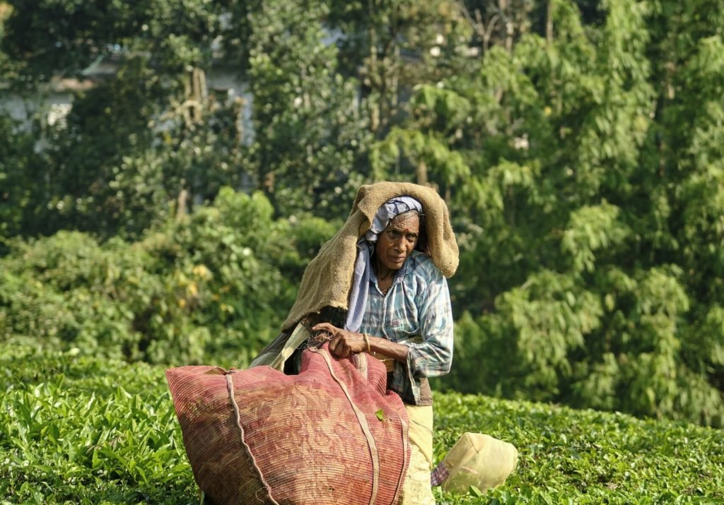 photo-1620678263594-20aef53a6e02