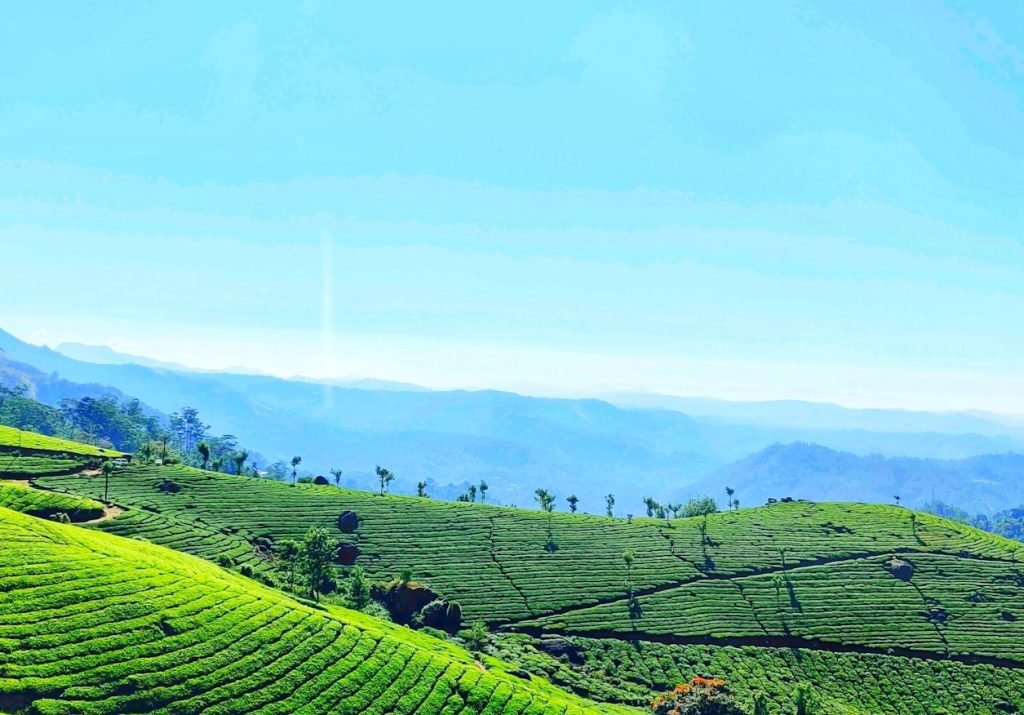 photo-1648484302387-0ec86a9ad498